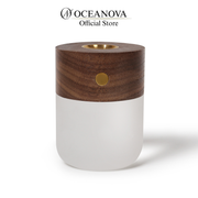 Walnut Frosted Aromatherapy Night Light