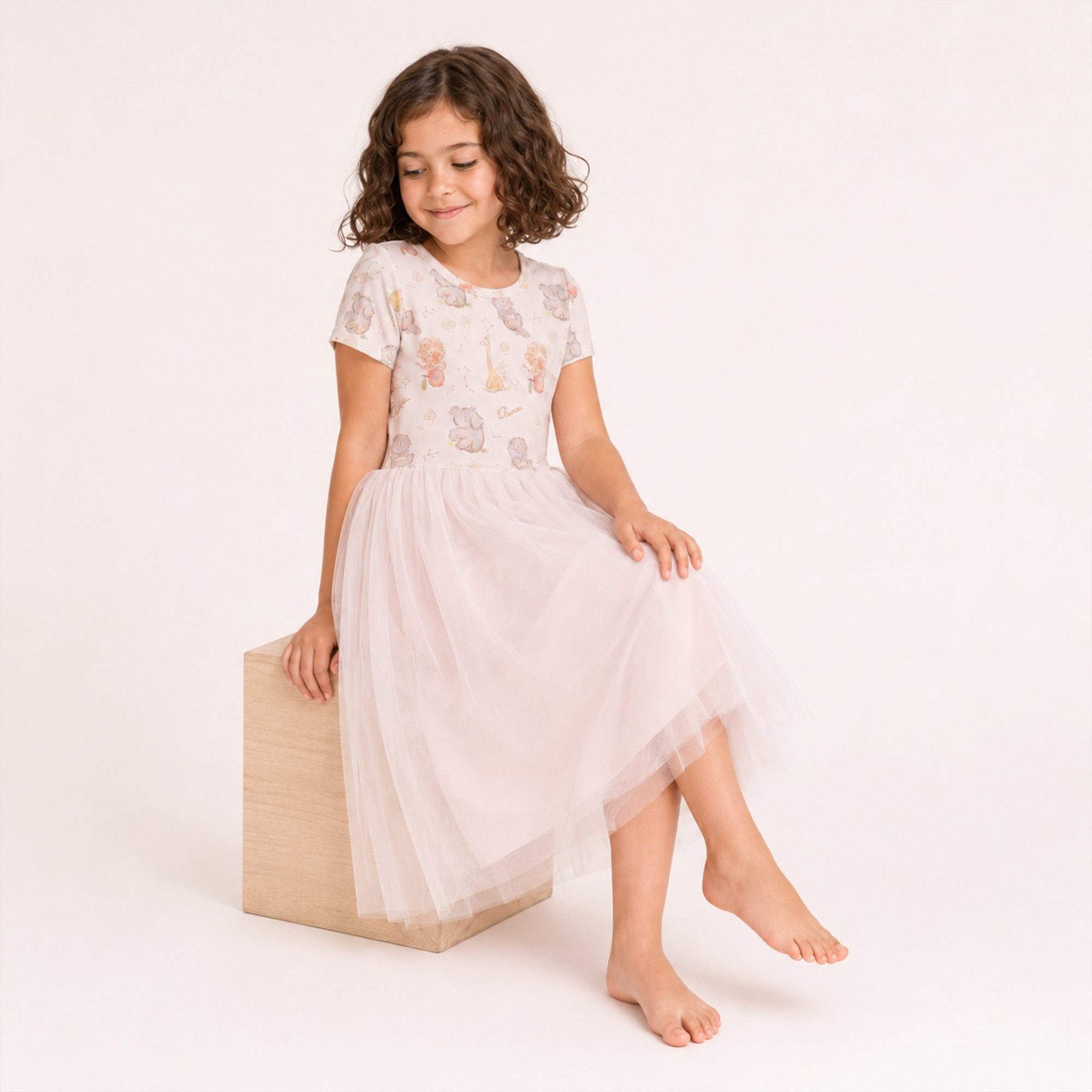 Tulle Dress （Wild Safa）