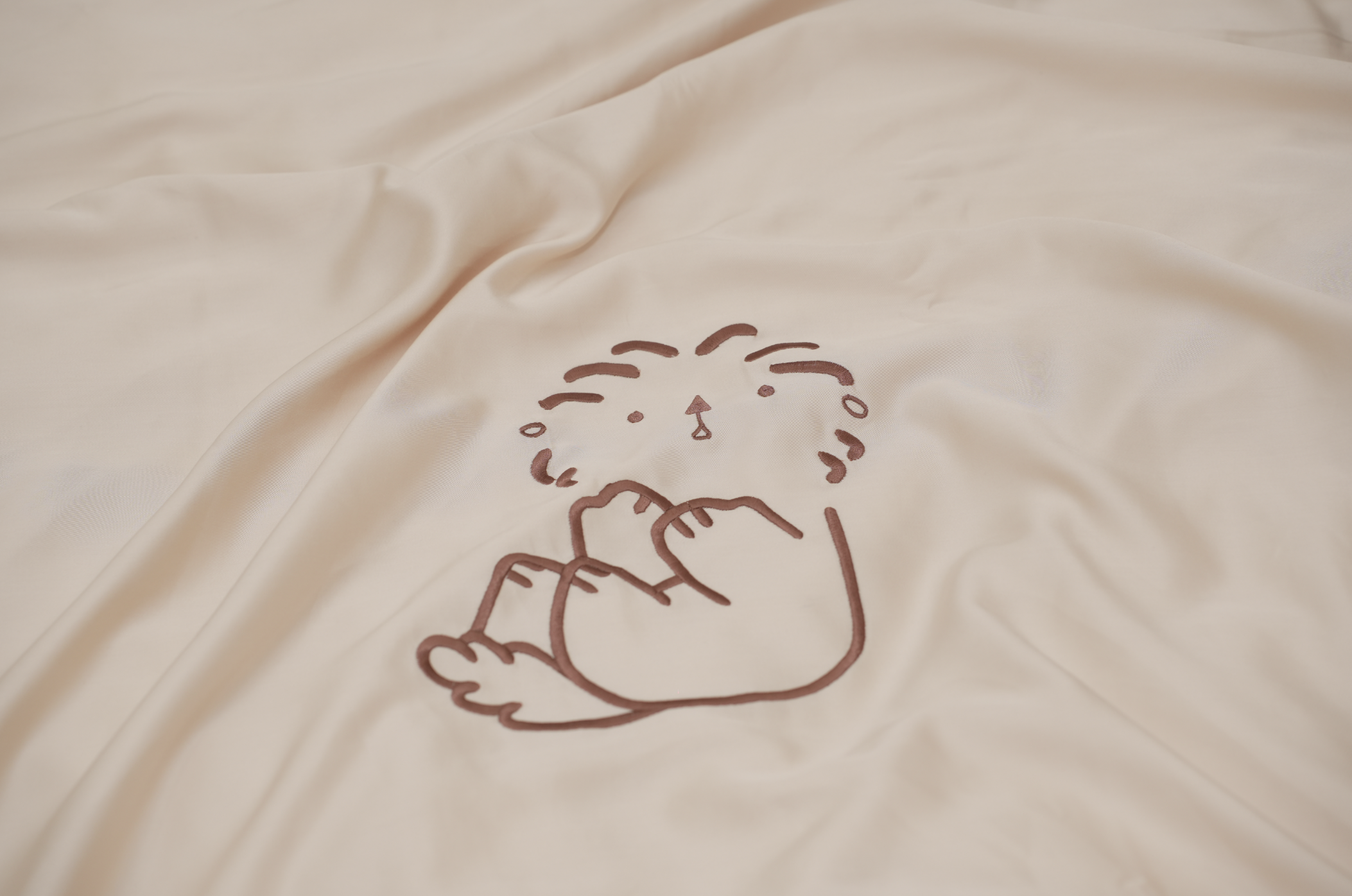 Organic Bamboo Sheet Set with Pillowcases
