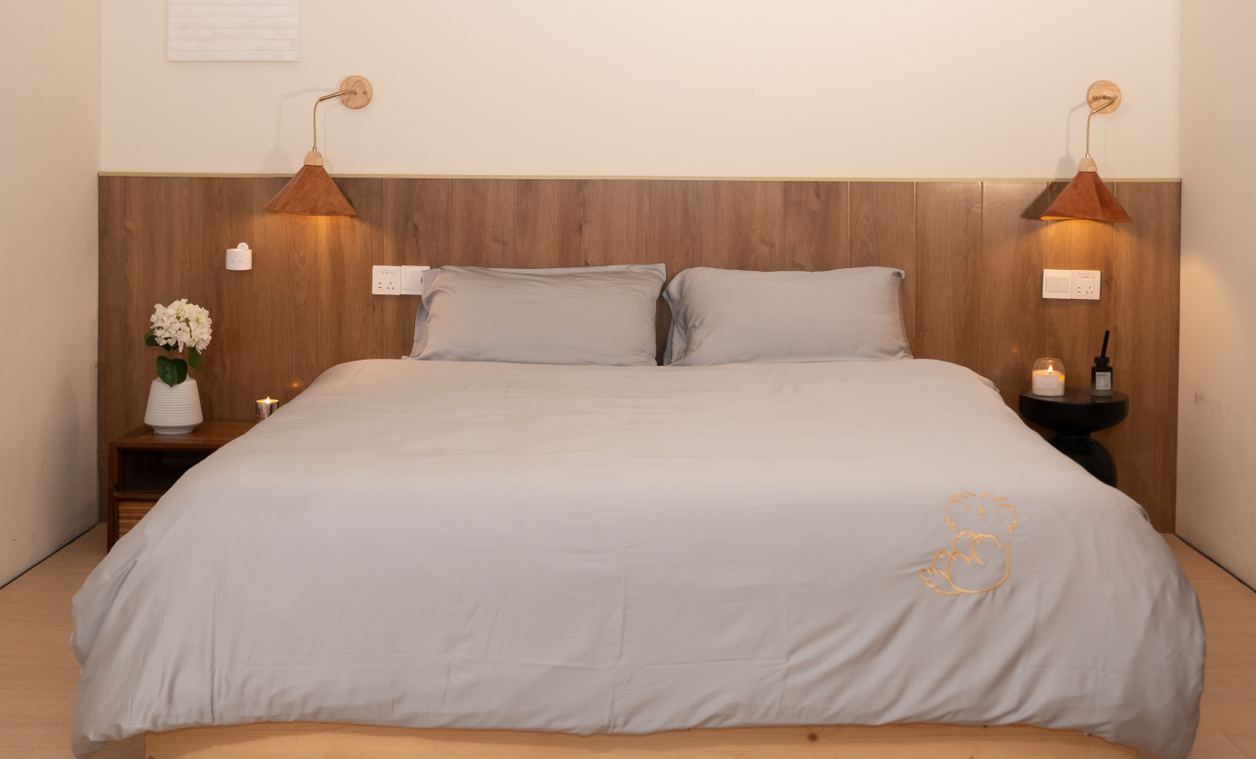 Organic Bamboo Sheet Set with Pillowcases