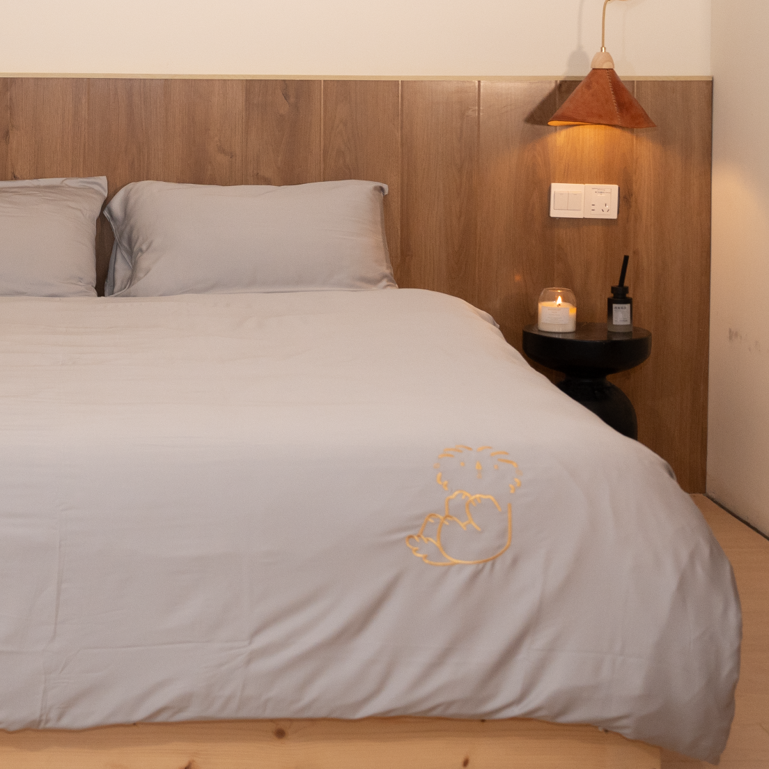 Organic Bamboo Sheet Set with Pillowcases